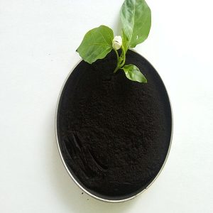 Humic Acid  Powder（70%）